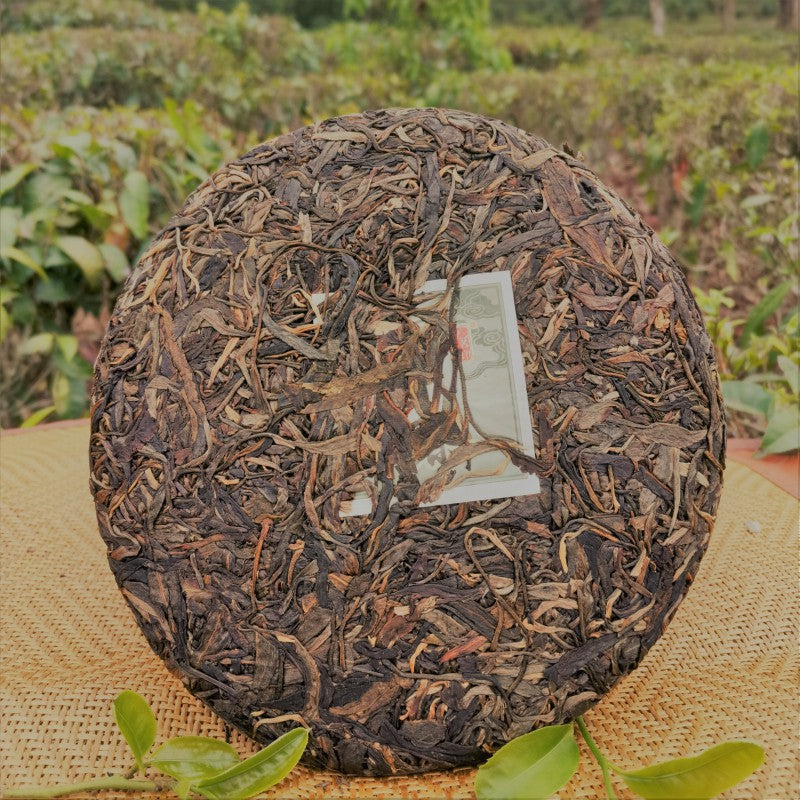 Old Raw Tea Aged Puerh Raw Tea Gao Li Gong Shan 357g Old Puerh Tea Green Tea Yunnan QiZi Cake Tea