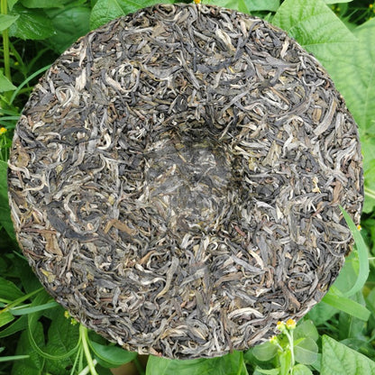 Pu'er Raw Tea Cake Ancient Tree Raw Tea Spring Yunnan Pure Pu'er Tea Cake 357g Pu'er Tea Green Tea