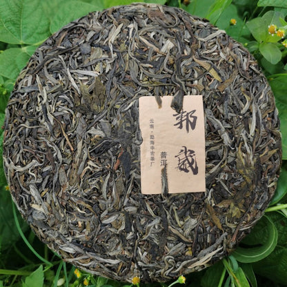 Pu'er Raw Tea Cake Ancient Tree Raw Tea Spring Yunnan Pure Pu'er Tea Cake 357g Pu'er Tea Green Tea