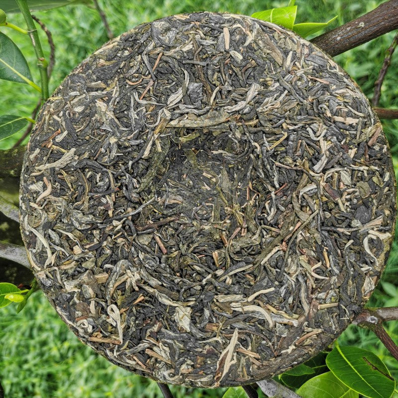 Yiwu Arbor Pu'er Tea Yunnan Raw Tea Cake 357g Original Tea  Green Tea