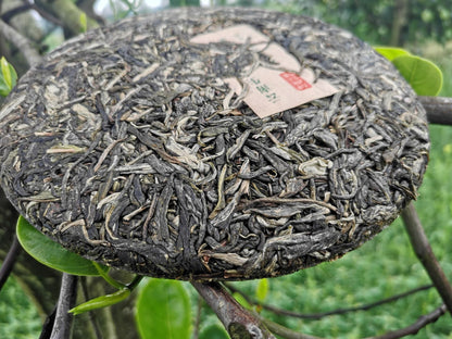 Yiwu Arbor Pu'er Tea Yunnan Raw Tea Cake 357g Original Tea  Green Tea