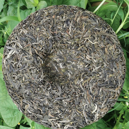 China Yunnan Ancient Tree Tea Yiwu Pure Material Raw Pu'er 357g First Spring Pu'er Tea Cake