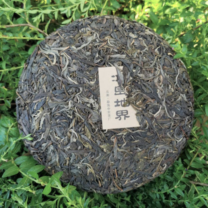 Icelandic Earth Boundary Ancient Tree Puerh Tea Raw Tea 357g Mengku Old Tree Tea Cake Early Spring Yunnan Qizi Cake Tea