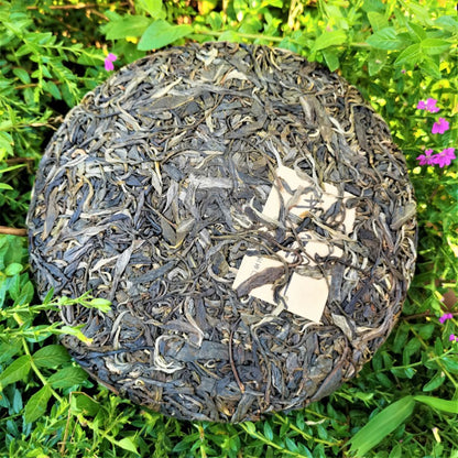 Xigui Ancient Tree Pu'er Tea Raw Tea 357g Lincang Old Tree Raw Cake Pu'er Yunnan Qizi Cake Tea