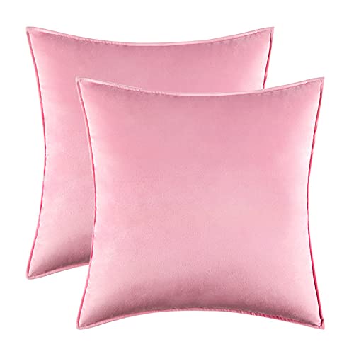 2PCS Home Decorative Edge Velvet Waist Pillow Cushion Covers Super Soft Plush Hotel Sofa Pillow Covers 20"x20" Throw Pillow Covers