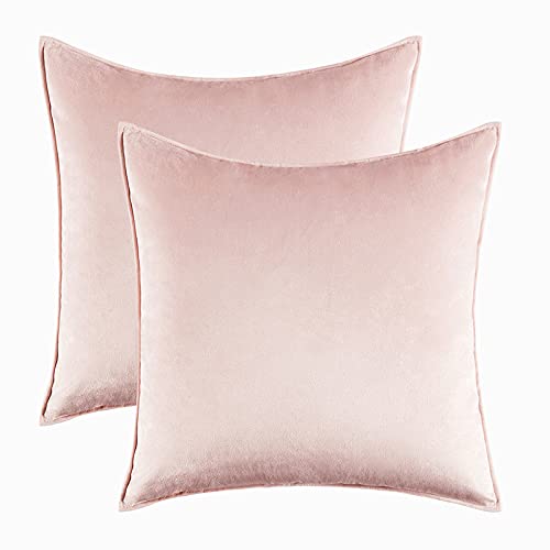 2PCS Home Decorative Edge Velvet Waist Pillow Cushion Covers Super Soft Plush Hotel Sofa Pillow Covers 20"x20" Throw Pillow Covers