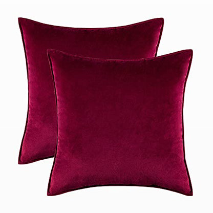 2PCS Home Decorative Edge Velvet Waist Pillow Cushion Covers Super Soft Plush Hotel Sofa Pillow Covers 20"x20" Throw Pillow Covers