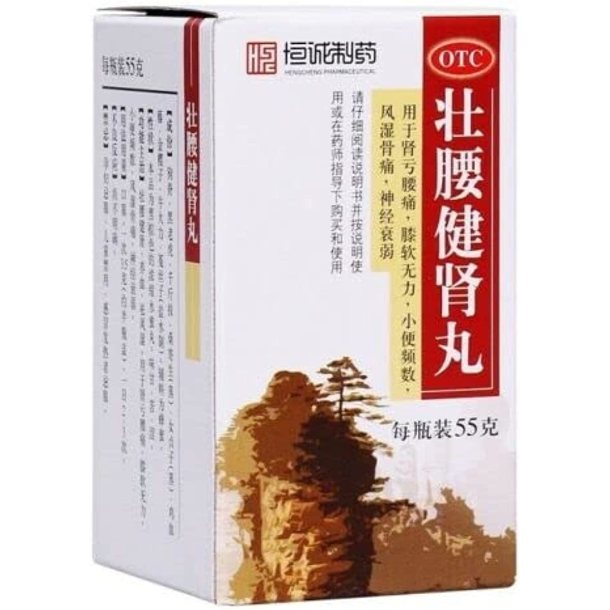 1 Box, Zhuangyao Jianshen Wan  55g/Box 壮腰健肾丸