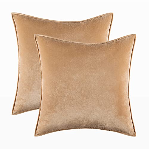 Home Decorative Edge Velvet Waist Pillow Cushion Covers Super Soft Plush Hotel Sofa Pillow Covers 23.6"x23.6" Throw Pillow Covers