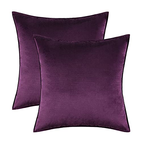 Home Decorative Edge Velvet Waist Pillow Cushion Covers 2PCS Super Soft Plush Hotel Sofa Pillow Covers 18"x18" Throw Pillow Covers