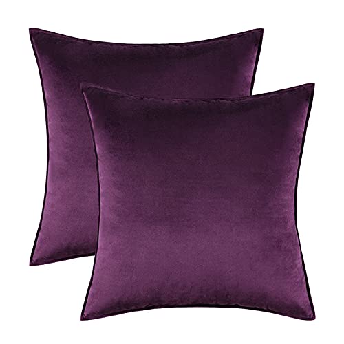 2PCS Home Decorative Edge Velvet Waist Pillow Cushion Covers Super Soft Plush Hotel Sofa Pillow Covers 20"x20" Throw Pillow Covers