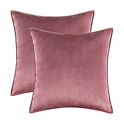 Home Decorative Edge Velvet Waist Pillow Cushion Covers 2PCS Super Soft Plush Hotel Sofa Pillow Covers 18"x18" Throw Pillow Covers