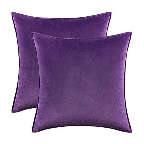 2PCS Home Decorative Edge Velvet Waist Pillow Cushion Covers Super Soft Plush Hotel Sofa Pillow Covers 20"x20" Throw Pillow Covers