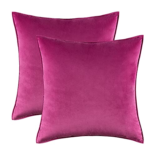 2PCS Home Decorative Edge Velvet Waist Pillow Cushion Covers Super Soft Plush Hotel Sofa Pillow Covers 20"x20" Throw Pillow Covers