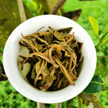 China Yunnan Ancient Tree Tea Yiwu Pure Material Raw Pu'er 357g First Spring Pu'er Tea Cake