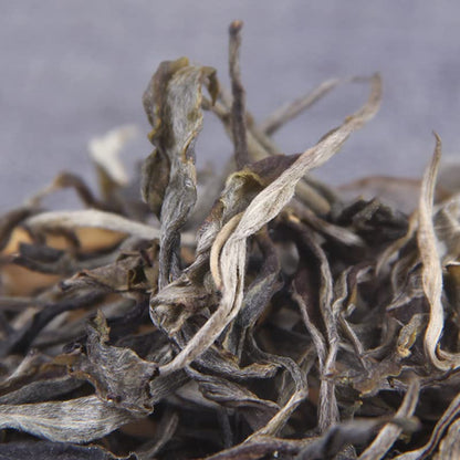 Premium Ancient Tree Pure Material Puerh Raw Tea 500g Loose Tea 200 Years Old Tea Plantation First Spring Loose Puerh Raw Tea 古树纯料普洱生茶散茶500g凤凰山200年古茶园头春凤凰窝