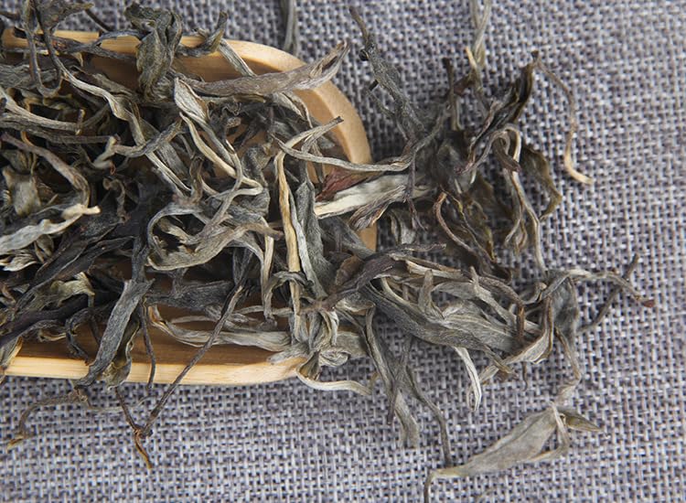 Premium Ancient Tree Pure Material Puerh Raw Tea 500g Loose Tea 200 Years Old Tea Plantation First Spring Loose Puerh Raw Tea 古树纯料普洱生茶散茶500g凤凰山200年古茶园头春凤凰窝