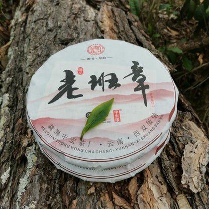 Lao Ban Zhang Ripe Pu'er 357g Menghai QiaoMu Pu'er Tea Yunnan Old Tree Ripe Cake