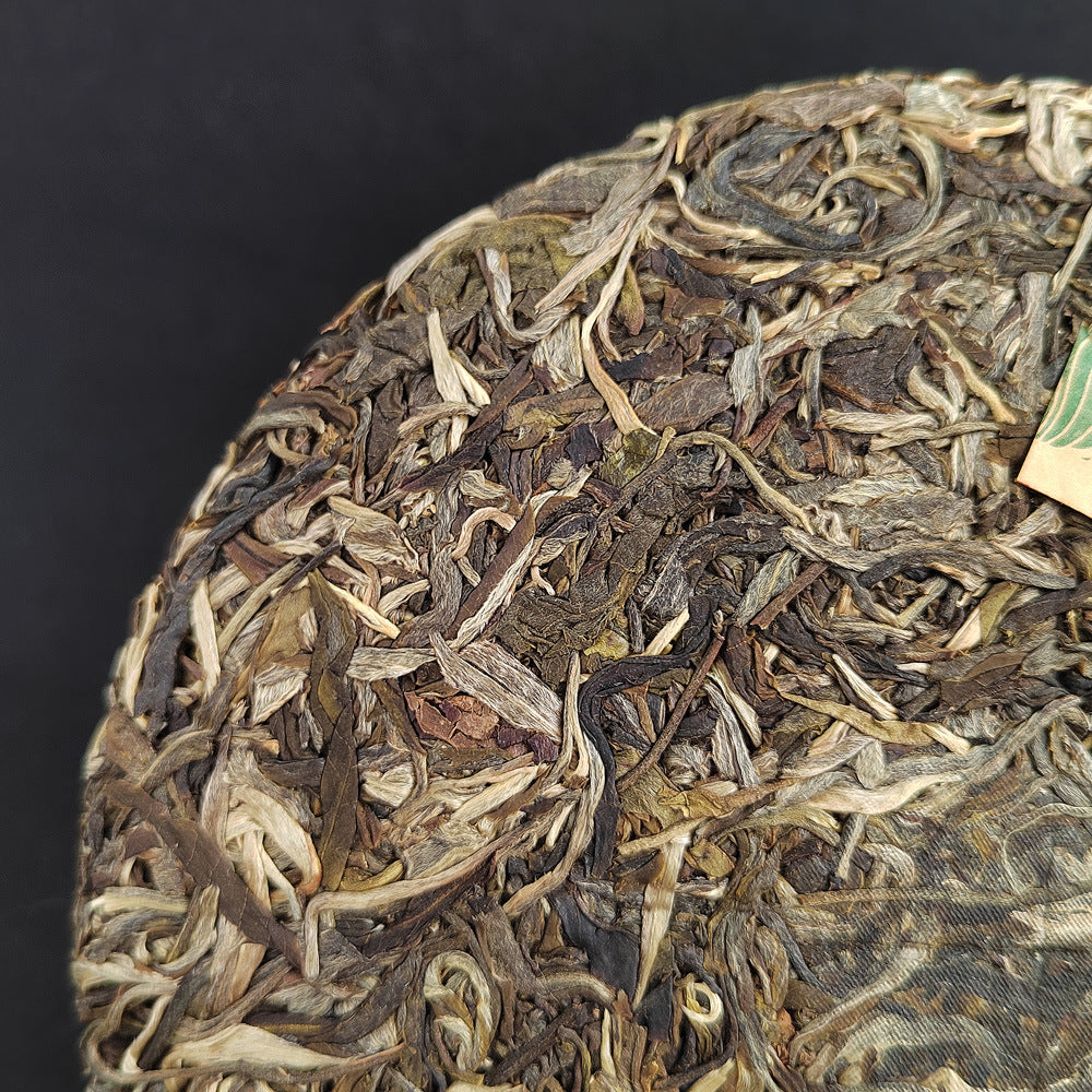 Yiwu Sheng Pu'er First Spring Qiao Mu Pu'er Tea 357g Yunnan Tea Cake