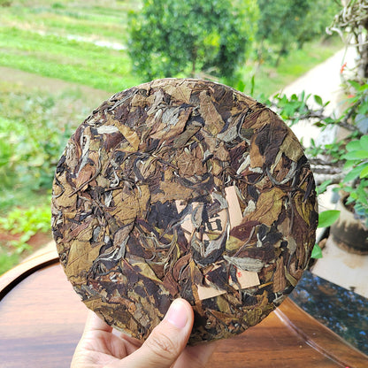 White Tea Pu'er Tea Moonlight White Yunnan Old Tree Raw Sun White Tea Cake 300g Yunnan Tea