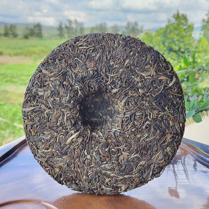 Old Banzhang Pu'er Raw Tea Brown Mountain, Ancient Tree Head Spring Pu'er Tea Cake, 357g Yunnan Qizi Cake Green Tea