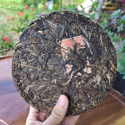 Old Banzhang Pu'er Raw Tea Brown Mountain, Ancient Tree Head Spring Pu'er Tea Cake, 357g Yunnan Qizi Cake Green Tea