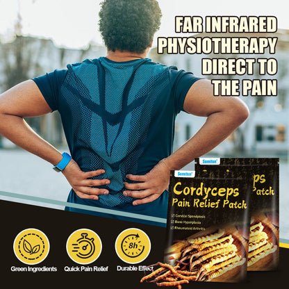 3 Packs, Cordyceps Pain Relief Patch，Powerful Pain Relief，Rheumatoid Arthritis， Muscle Joint Pain 24pcs (3Packs*8pcs) 虫草元素远红外贴,关节肌肉痛贴