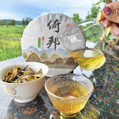 Yunnan Tea Laoshu Tea Cake 357 Grams of Ancient Six Tea Mountains Raw Puer Tea Green Tea