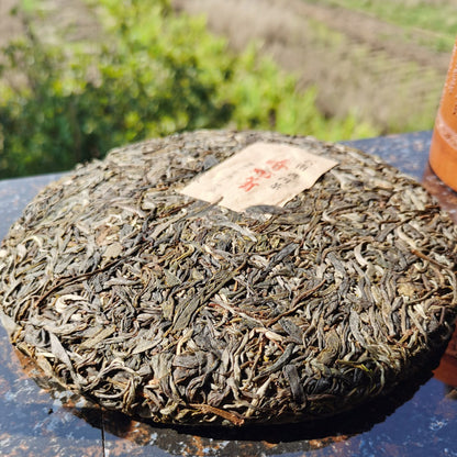 Yiwu Pu'er Raw Tea 357g Ancient Tree Tea Yunnan Qizi Cake Tea Green Tea