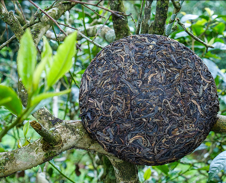 Pu-erh Old Raw Tea Green Tea Yiwu Pu-erh Tea Old Tea Yunnan Qizi Cake Tea 357g Aged Pu-erh 10 Years Pu-erh Old Tea